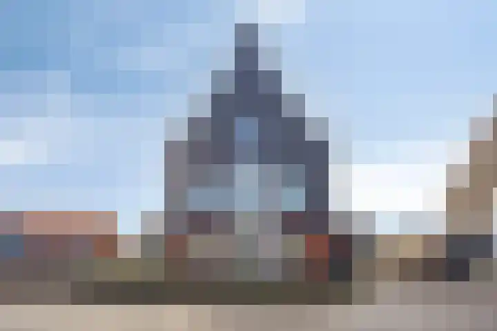 Knopbies 15 Assendelft thumbnail 34