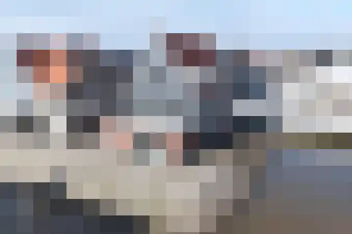 Knopbies 15 Assendelft thumbnail 35