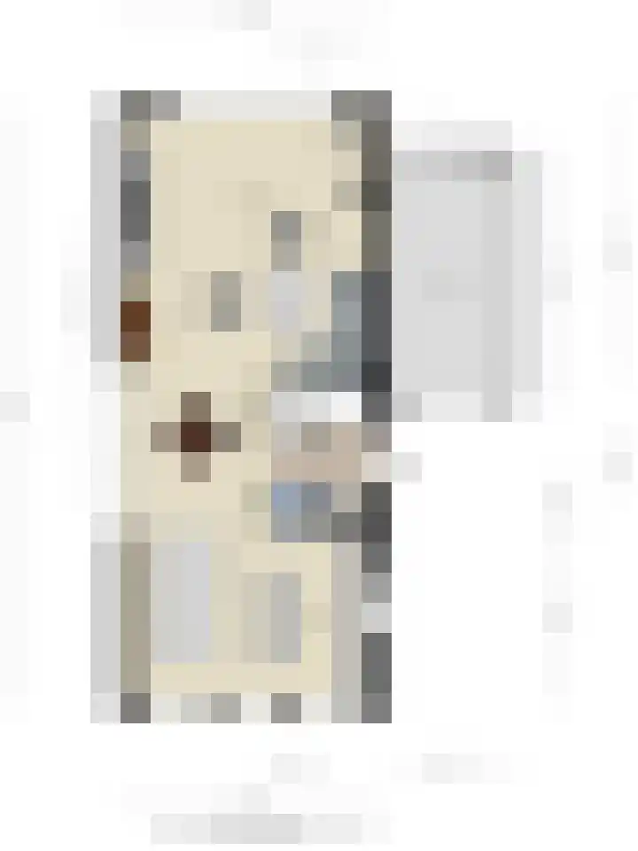 Knopbies 15 Assendelft thumbnail 39