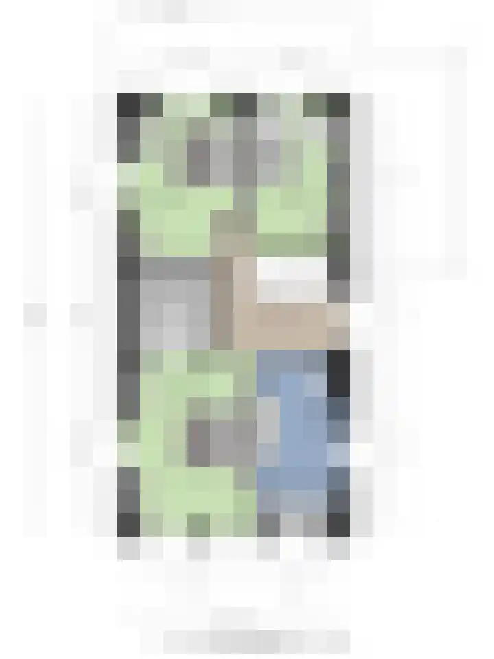 Knopbies 15 Assendelft thumbnail 40