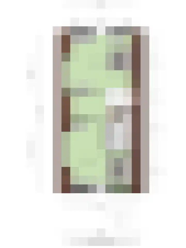 Knopbies 15 Assendelft thumbnail 41