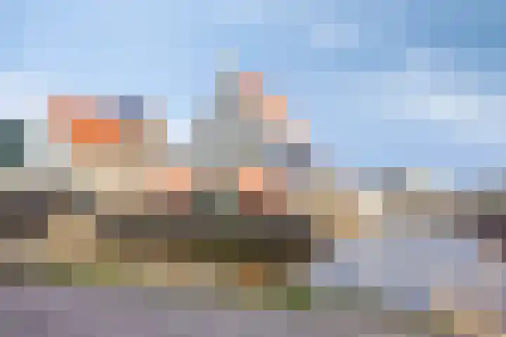 Knopbies 15 Assendelft thumbnail 5