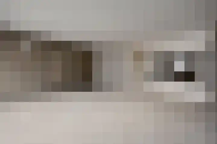 Knopbies 15 Assendelft thumbnail 9