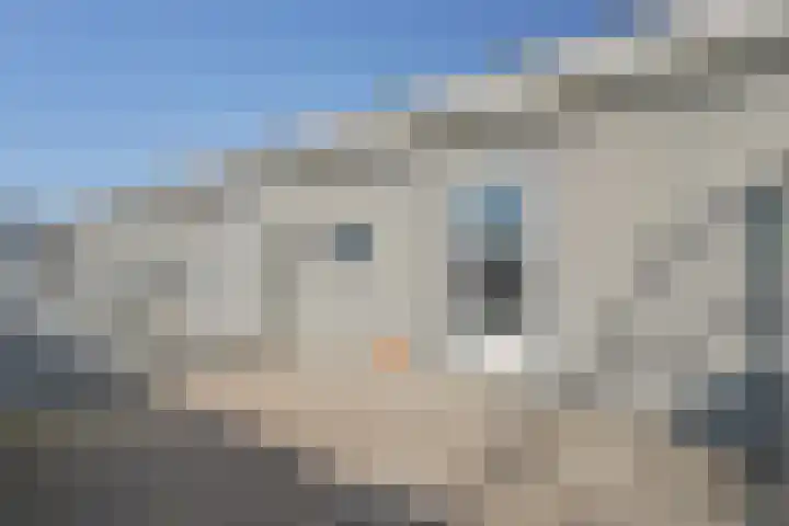 Knopenmakerstraat 19 Delfgauw thumbnail 30
