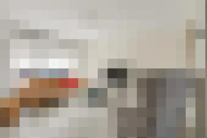 Knopenmakerstraat 19 Delfgauw thumbnail 7