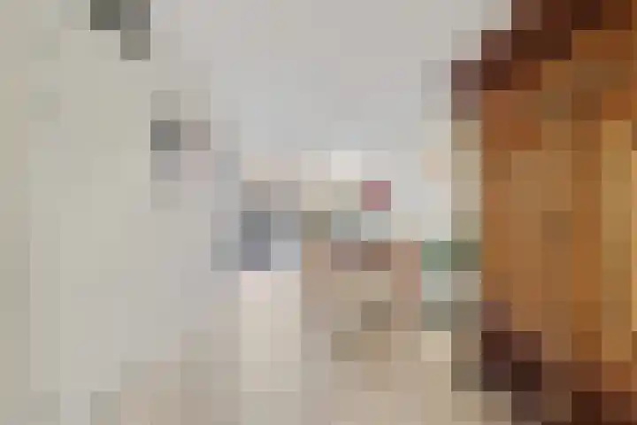 Knopenmakerstraat 19 Delfgauw thumbnail 9