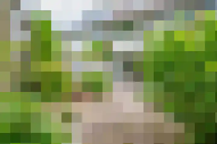 Knoppertkamp 17 Zwolle thumbnail 10