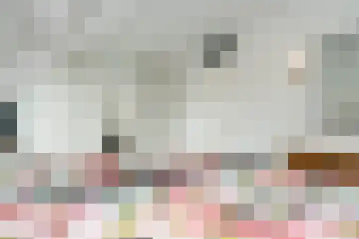 Knoppertkamp 17 Zwolle thumbnail 21