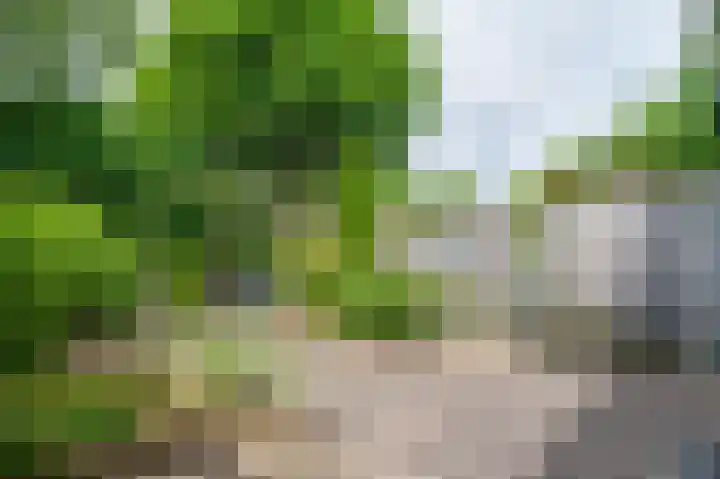 Knoppertkamp 17 Zwolle thumbnail 6