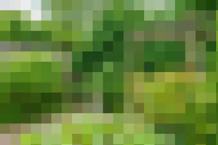 Knoppertkamp 17 Zwolle thumbnail 8