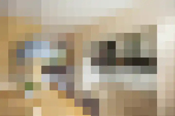 Knottenplat 38 Eelde thumbnail 14