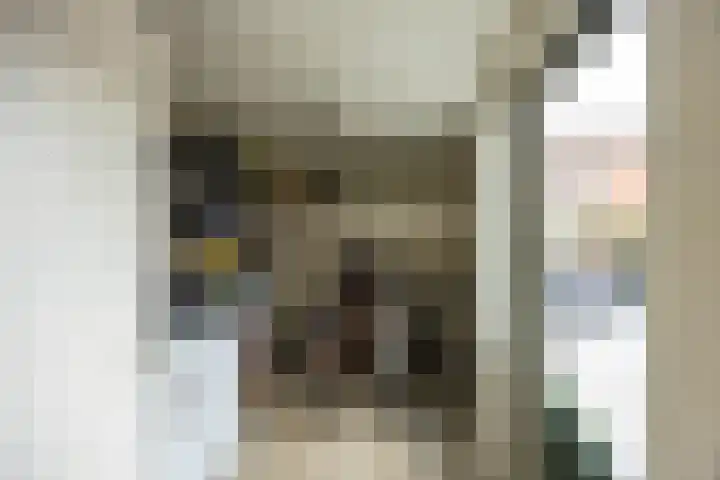 Knottenplat 38 Eelde thumbnail 17
