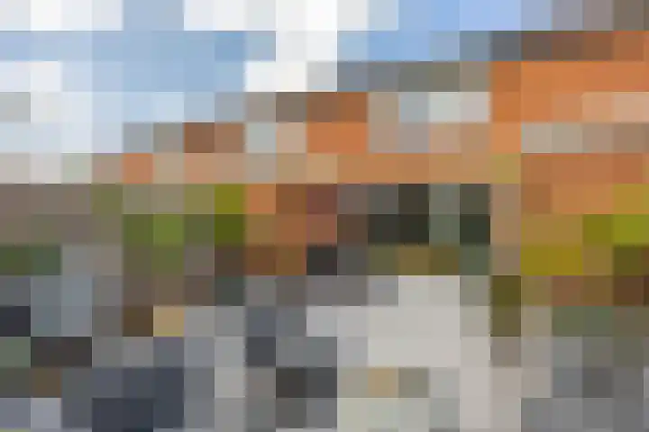 Knottenplat 38 Eelde thumbnail 19
