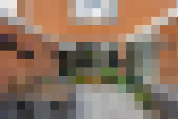 Knottenplat 38 Eelde thumbnail 20
