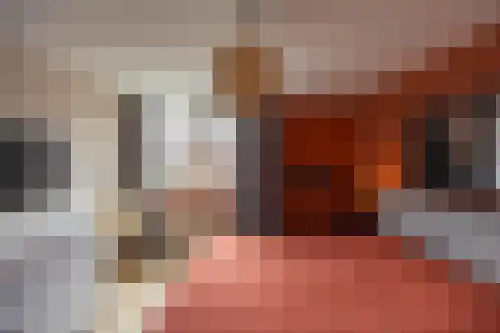 Knottenplat 38 Eelde thumbnail 22