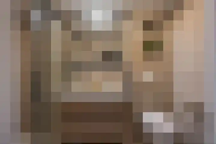 Knottenplat 38 Eelde thumbnail 32