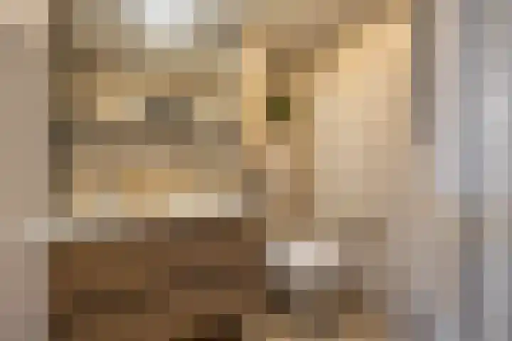 Knottenplat 38 Eelde thumbnail 33