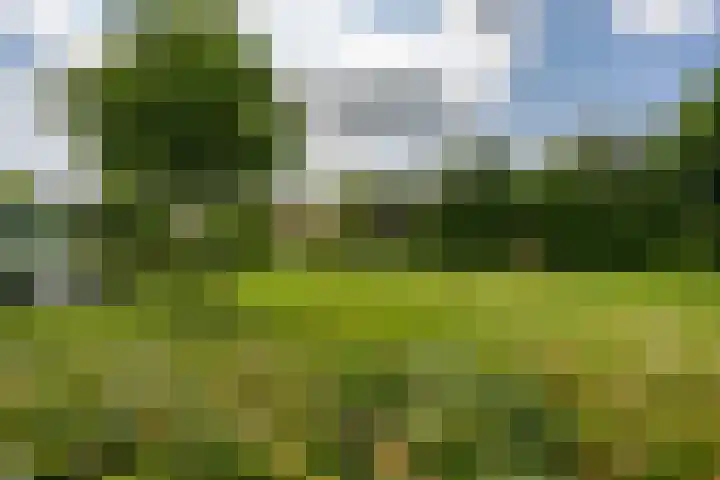 Knottenplat 38 Eelde thumbnail 38