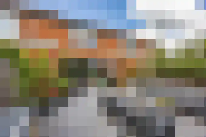 Knottenplat 38 Eelde thumbnail 4
