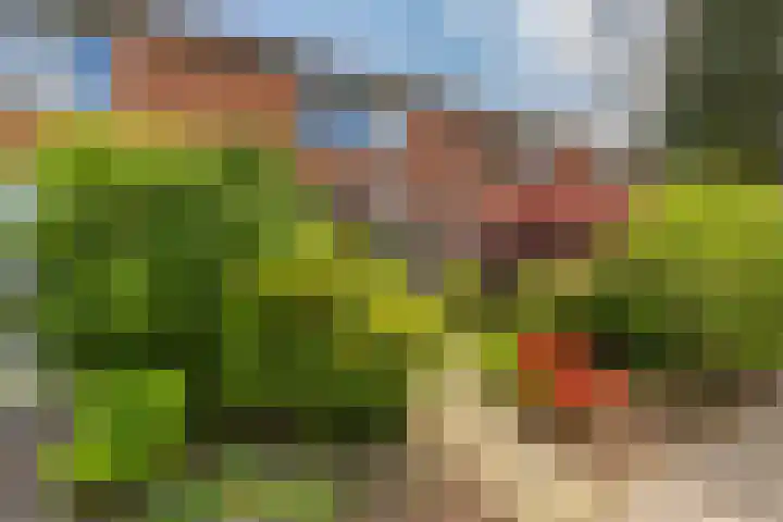 Knottenplat 38 Eelde thumbnail 5