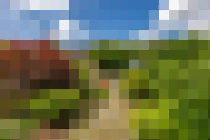 Knottenplat 38 Eelde thumbnail 6