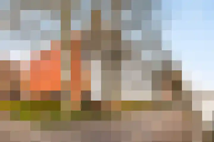 KNSM-laan 701 Amsterdam thumbnail 5