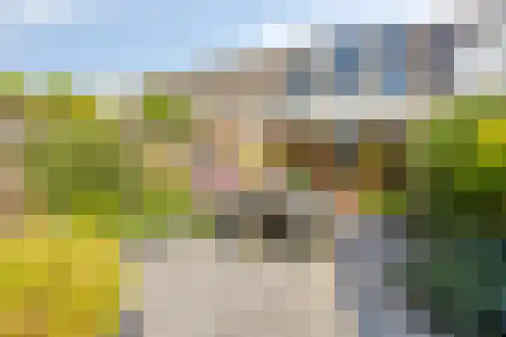 Ko Donckerlaan 14 Amstelveen thumbnail 17