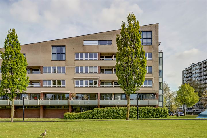 Ko Suurhofflaan 50 in Schiedam foto