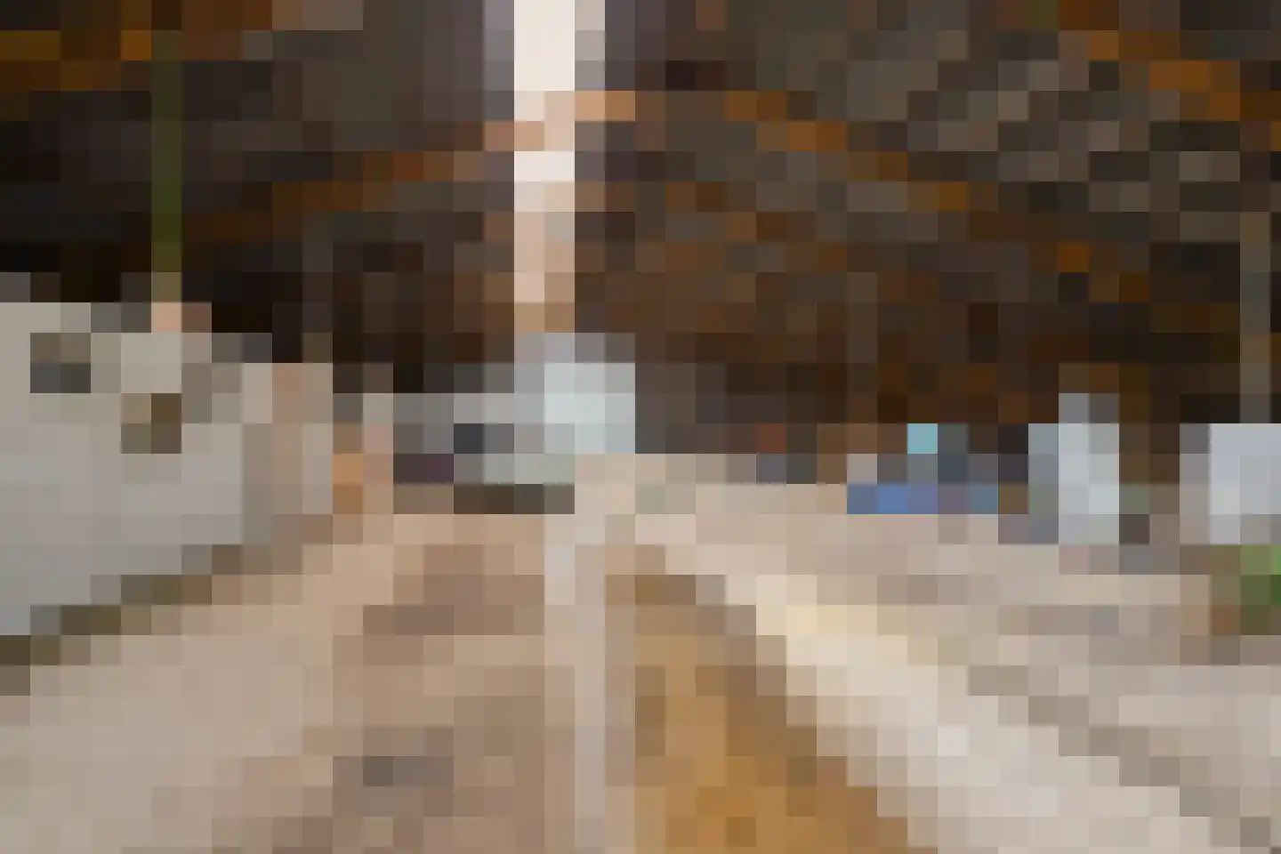 Koaidyk 13 It Heidenskip thumbnail 36