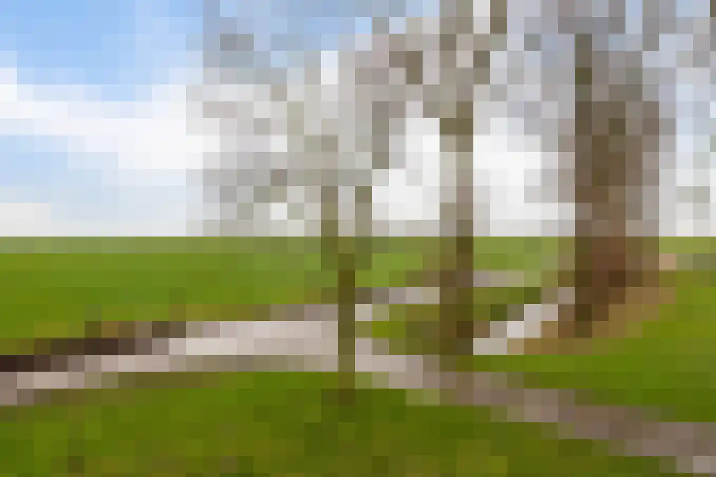 Koaidyk 13 It Heidenskip thumbnail 59