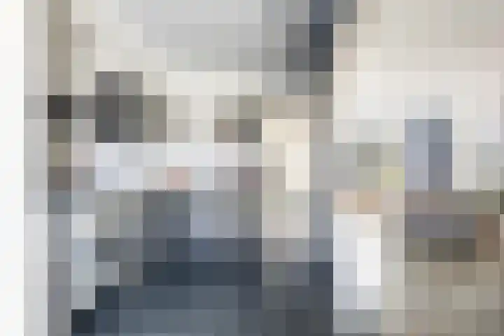 Koaikamp 6 Hurdegaryp thumbnail 11