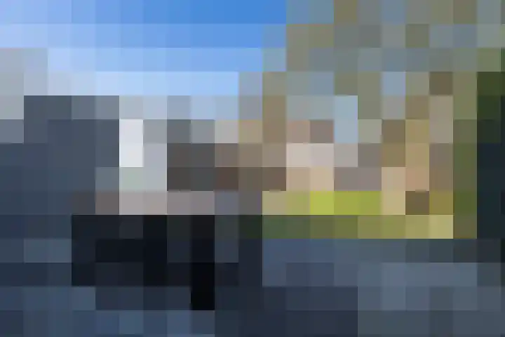 Koaikamp 6 Hurdegaryp thumbnail 28