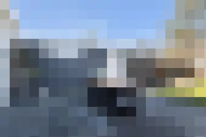 Koaikamp 6 Hurdegaryp thumbnail 29