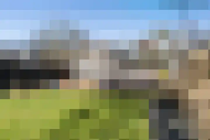Koaikamp 6 Hurdegaryp thumbnail 30