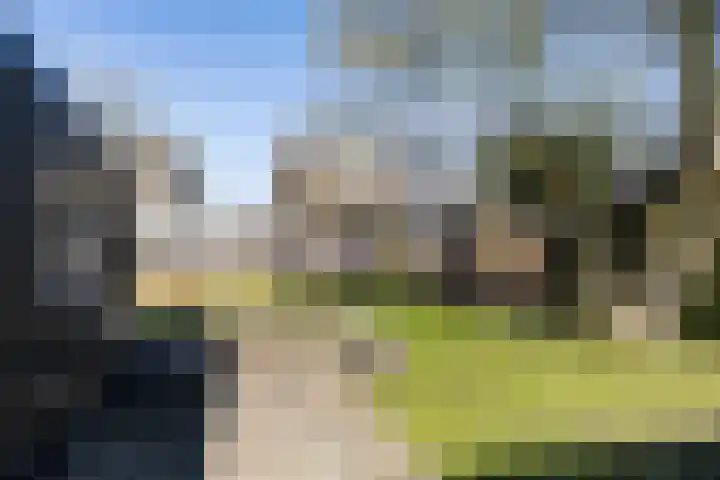 Koaikamp 6 Hurdegaryp thumbnail 31