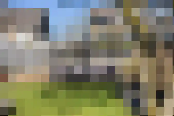 Koaikamp 6 Hurdegaryp thumbnail 33