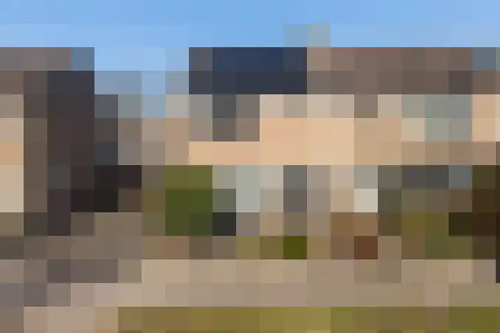 Koaikamp 6 Hurdegaryp thumbnail 39