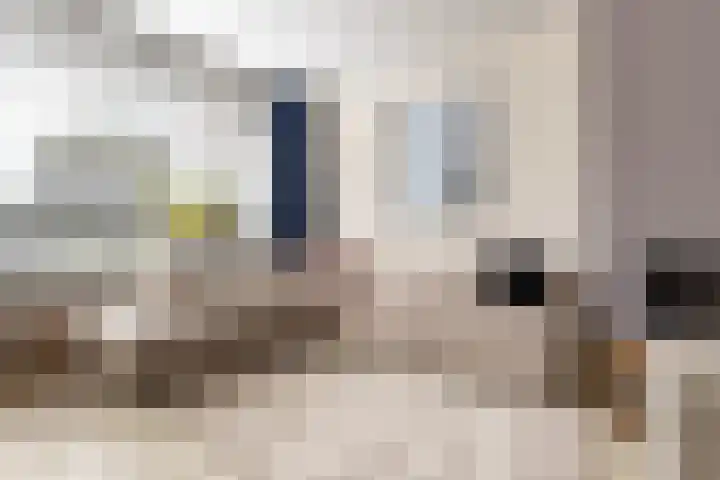 Koaikamp 6 Hurdegaryp thumbnail 4