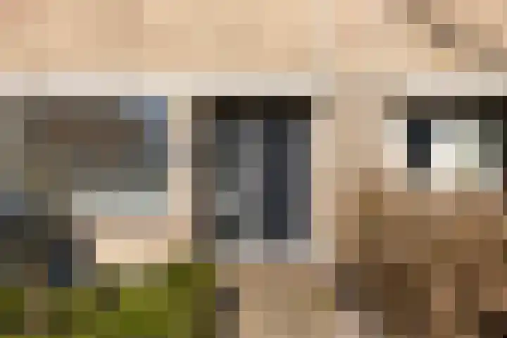 Koaikamp 6 Hurdegaryp thumbnail 41