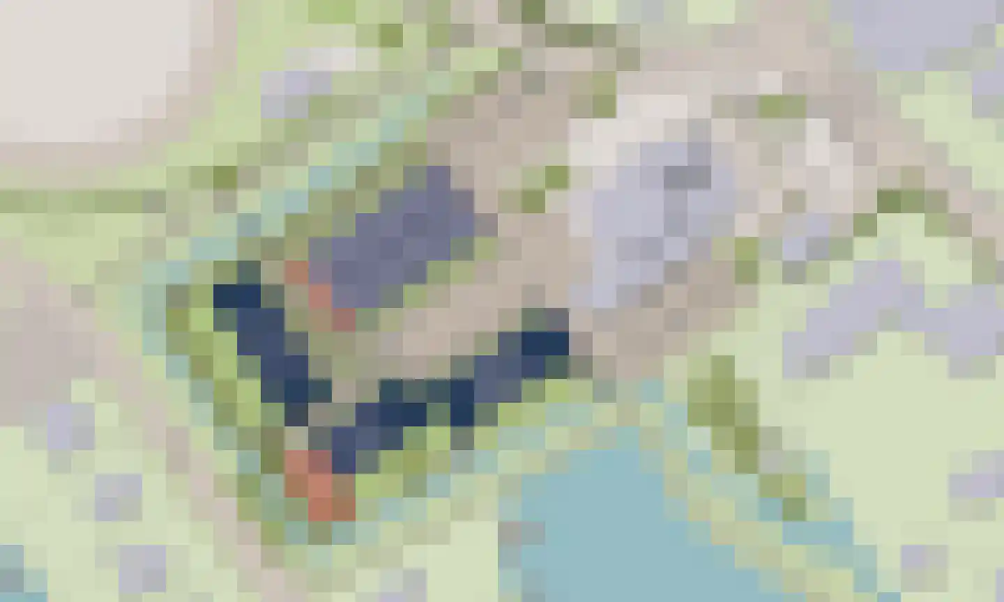 Koailân 2 Terherne thumbnail 10