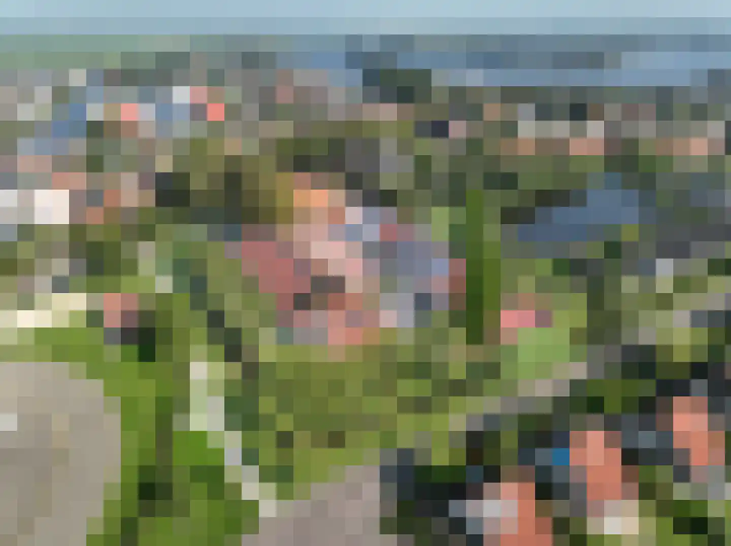 Koailân 2 Terherne thumbnail 8