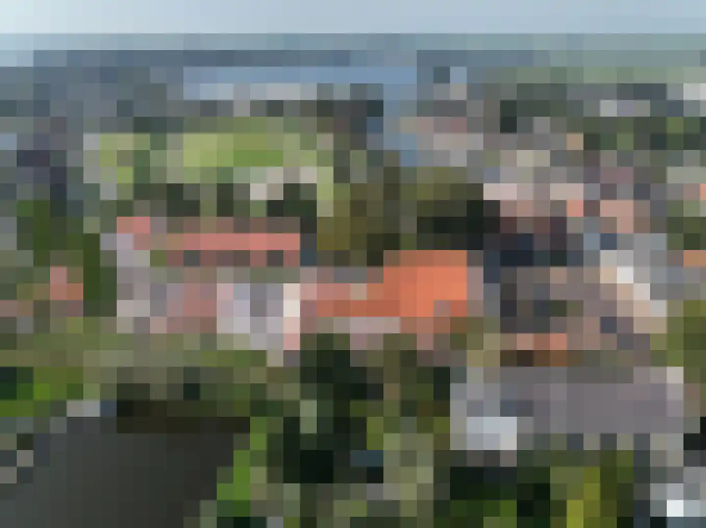Koailân 4 Terherne