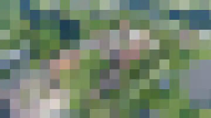 Koailân 8 Terherne thumbnail 12