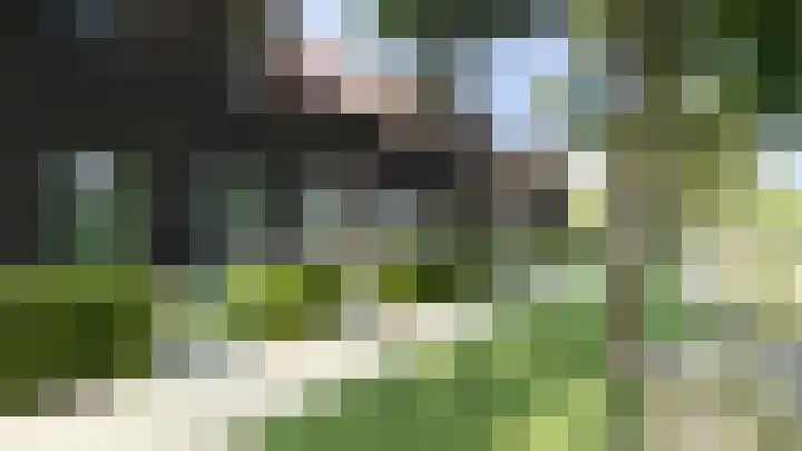 Koailân 8 Terherne thumbnail 16