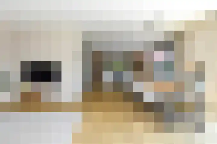 Kobalt 6 Zeewolde thumbnail 21