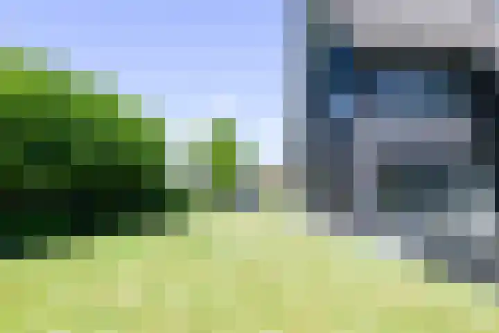 Kobalt 6 Zeewolde thumbnail 57