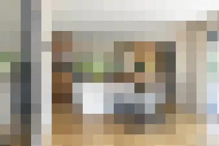 Kobalt 6 Zeewolde thumbnail 6