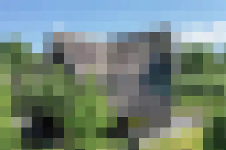 Kobalt 6 Zeewolde thumbnail 60