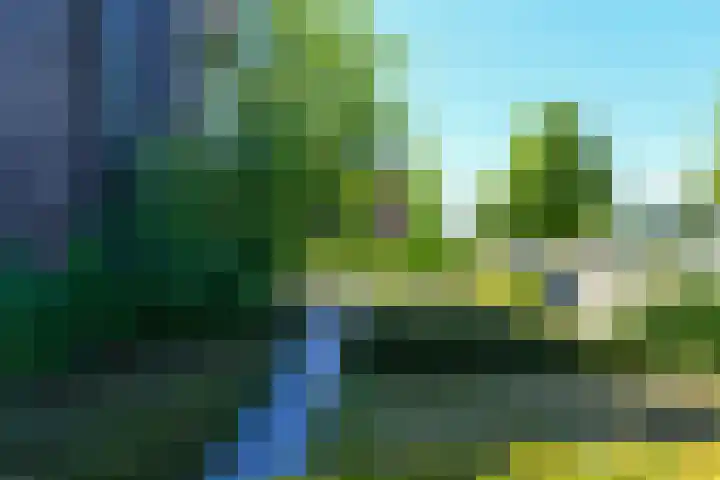 Kobalt 6 Zeewolde thumbnail 62