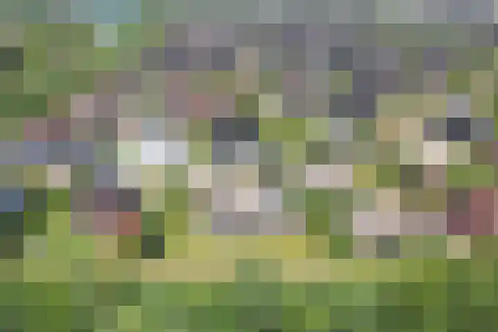 Kobalt 6 Zeewolde thumbnail 66